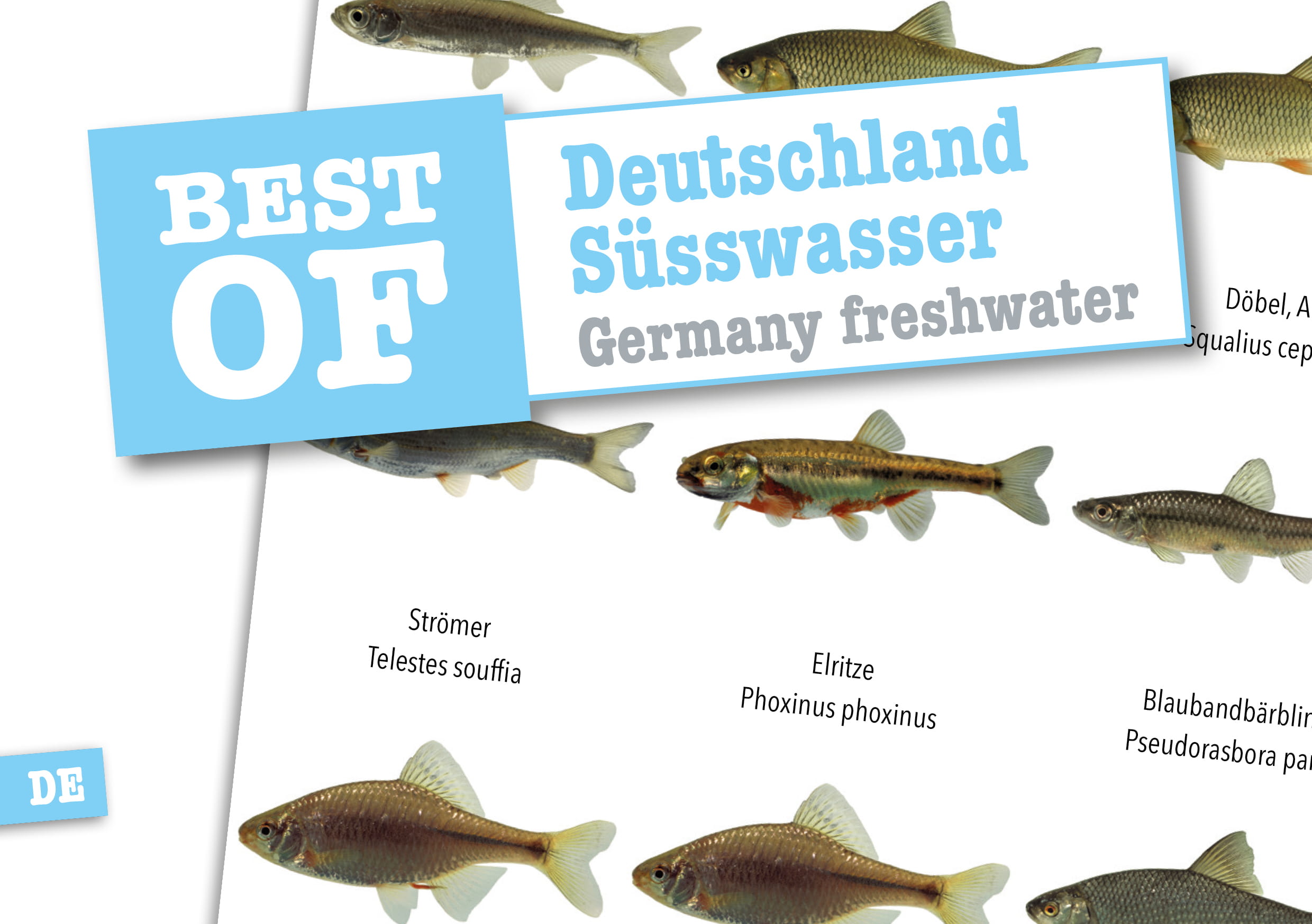 Dive_Sticker_Deutschland-1 Dive Sticker Deutschland Süsswasser