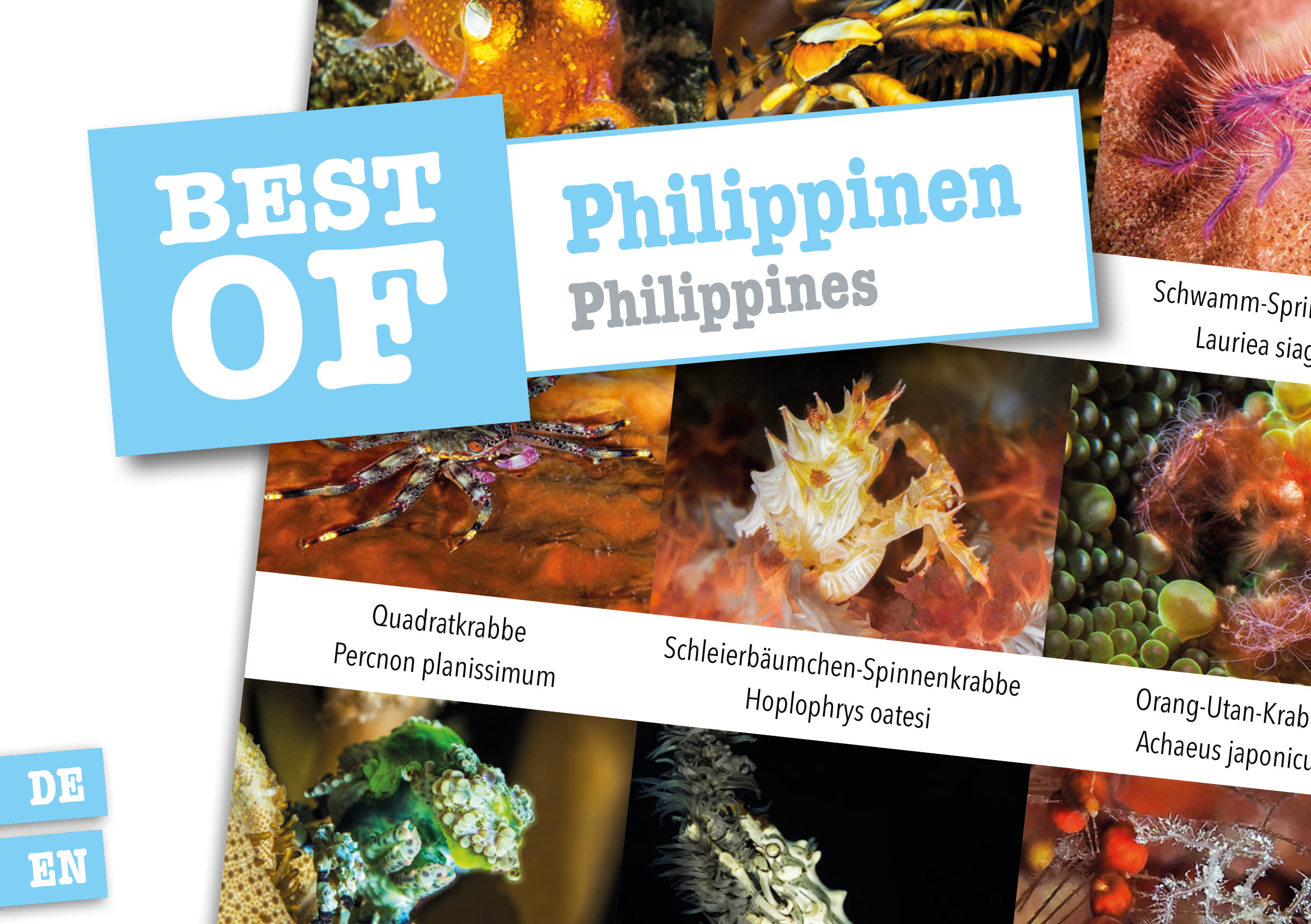 Dive_Sticker_Philippinen Dive Sticker Philippinen