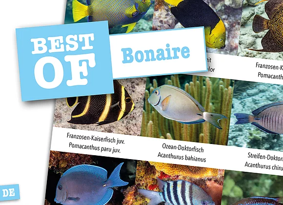Dive_Sticker_Bonaire Dive Sticker Bonaire