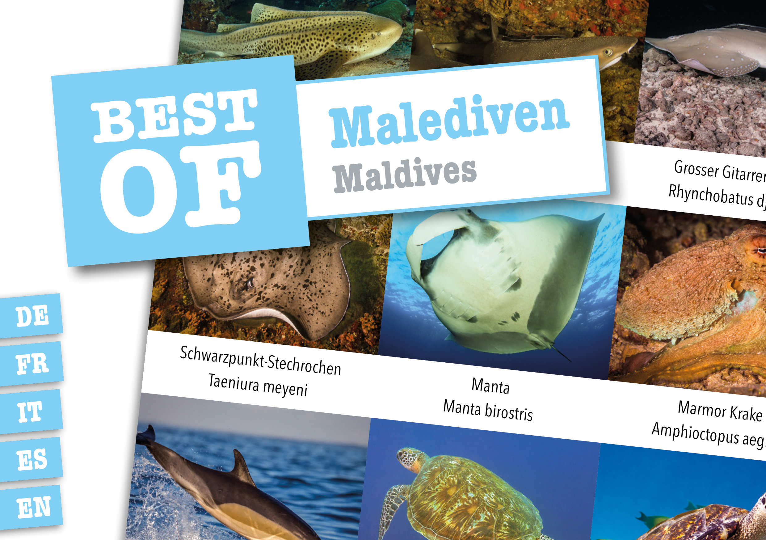Dive_Sticker_Malediven Dive Sticker Malediven